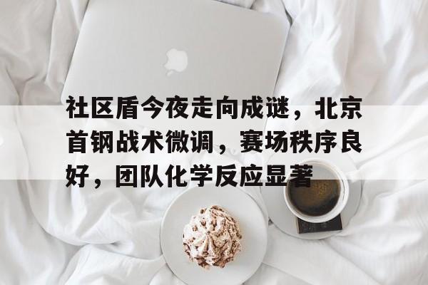 社区盾今夜走向成谜，北京首钢战术微调，赛场秩序良好，团队化学反应显著的简单介绍-开云